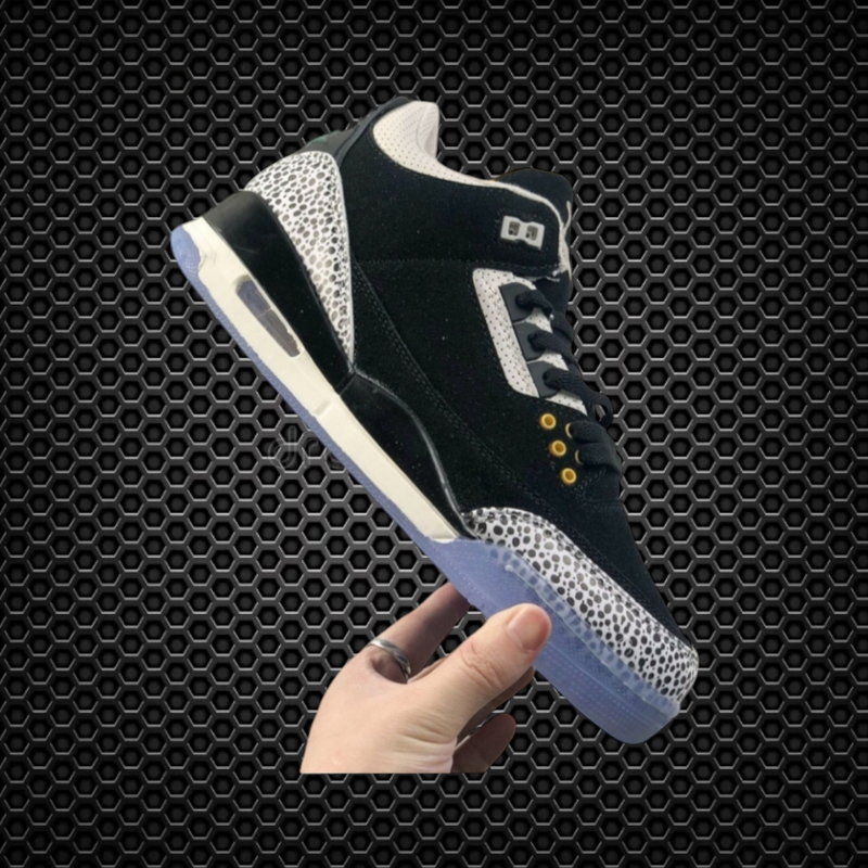 Air Jordan 3 Retro Atmos