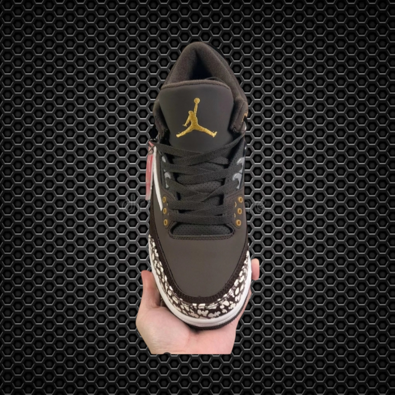 Jordan Retro 3