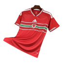 País de Gales - Camisola 25/26