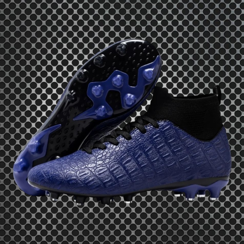 MS Royal Blue