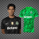 Camisola JOÃO VIRGÍNIA 12