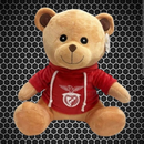Benfica - Urso de peluche com sweat